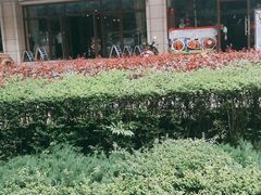 -鱼教头石泉老街石锅鱼(高新店)