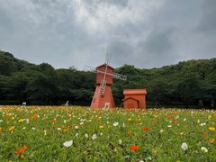 -苏州上方山国家森林公园