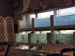 -质烤烤物·活烤海鲜(质烤总店)