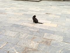 -长春观