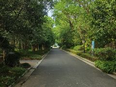 -宝界山林公园