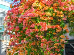 -天河客运站(地铁站)