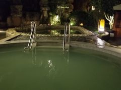 -深业半汤御泉庄温泉