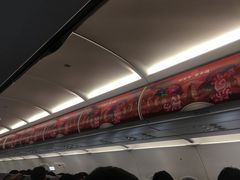 -威海大水泊国际机场