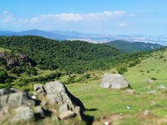 -大姆山草场