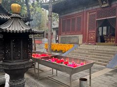 -潭柘寺景区
