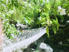 -青峰峡国家森林公园