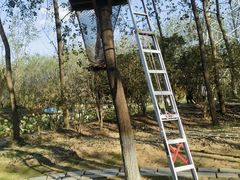 -合肥滨湖国家森林公园