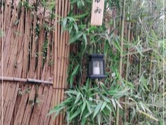 -天水蔬食料理(树德之光店)
