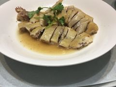-鹅城
