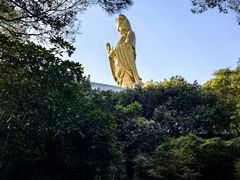 -普陀山风景名胜区-法雨禅寺