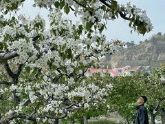 -崂山风景区-大河东游客中心