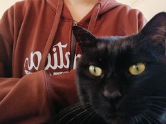 -春风十里咖啡馆