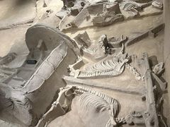 -洛阳周王城天子驾六博物馆