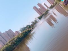 -前关湿地公园