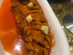 -老长春肉馆(创业大街店)