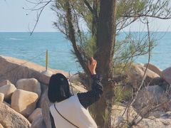 -广东惠东海龟国家级自然保护区