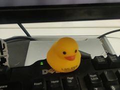 -中国邮政储蓄银行(静安区支行)