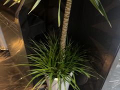 -唐宫足道·SPA·住宿24H会所(木渎店)