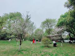 -堤角公园