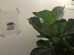-Oasis coffee燕谷咖啡(公信店)