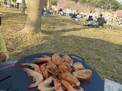 -风云岭森林公园