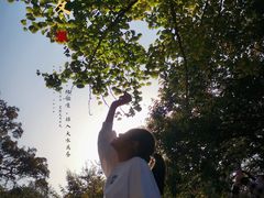 -八大关景区