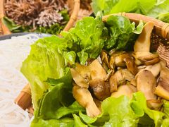 -滇野云南野生菌餐厅(陕西南路店)