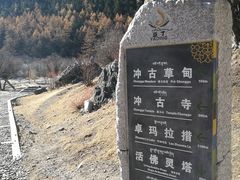 -稻城亚丁景区-冲古草甸