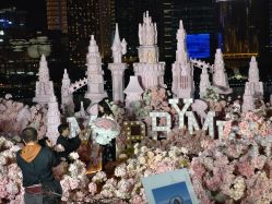 -迈瑞米求婚策划(静安店)