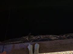 -DGE季风钓虾营地·团建·聚会