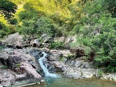 -广州白江湖森林公园