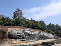 -三水森林公园