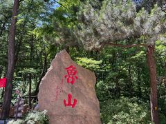 -鲁山国家森林公园