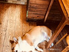 -阿木舂记·特色小吃(平江路店)