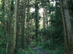 -长沙黑麋峰国家森林公园