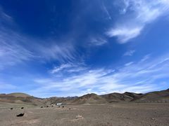 -新疆天山野生动物园