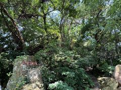 -江心屿景区