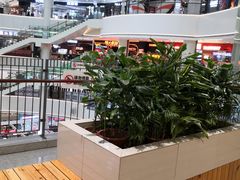 -盛京大奥莱(沈阳奥体店)