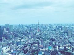 -六本木新城展望台(东京城市景观)