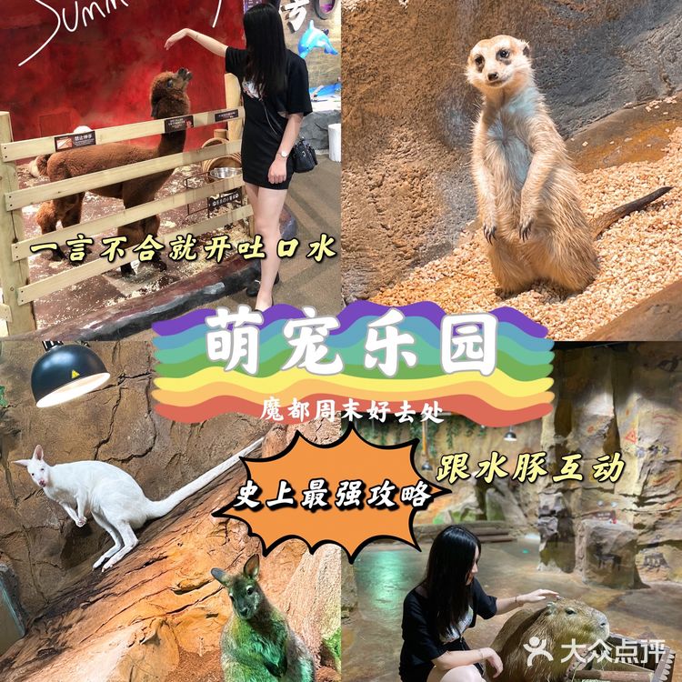 Zoolung zoolung史上最强攻略💕💕💕