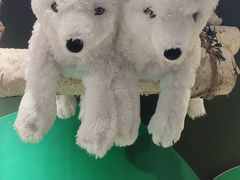 -宜家家居(四元桥商场店)