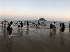 -西涌国际滨海旅游区