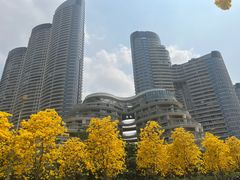 -洲头咀公园