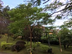 -森波拉火山温泉