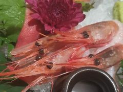 -弓二·烧鸟居酒屋(财富购物中心店)