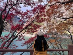 -叠溪松坪沟景区