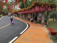 -珠海圆明新园