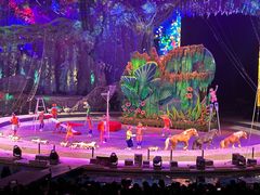 -广州长隆国际大马戏