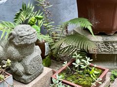 -宣和苑(华侨新村店)